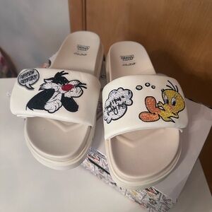 Aldo looney tunes slides